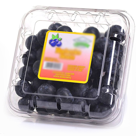 沱沱工社进口蓝莓